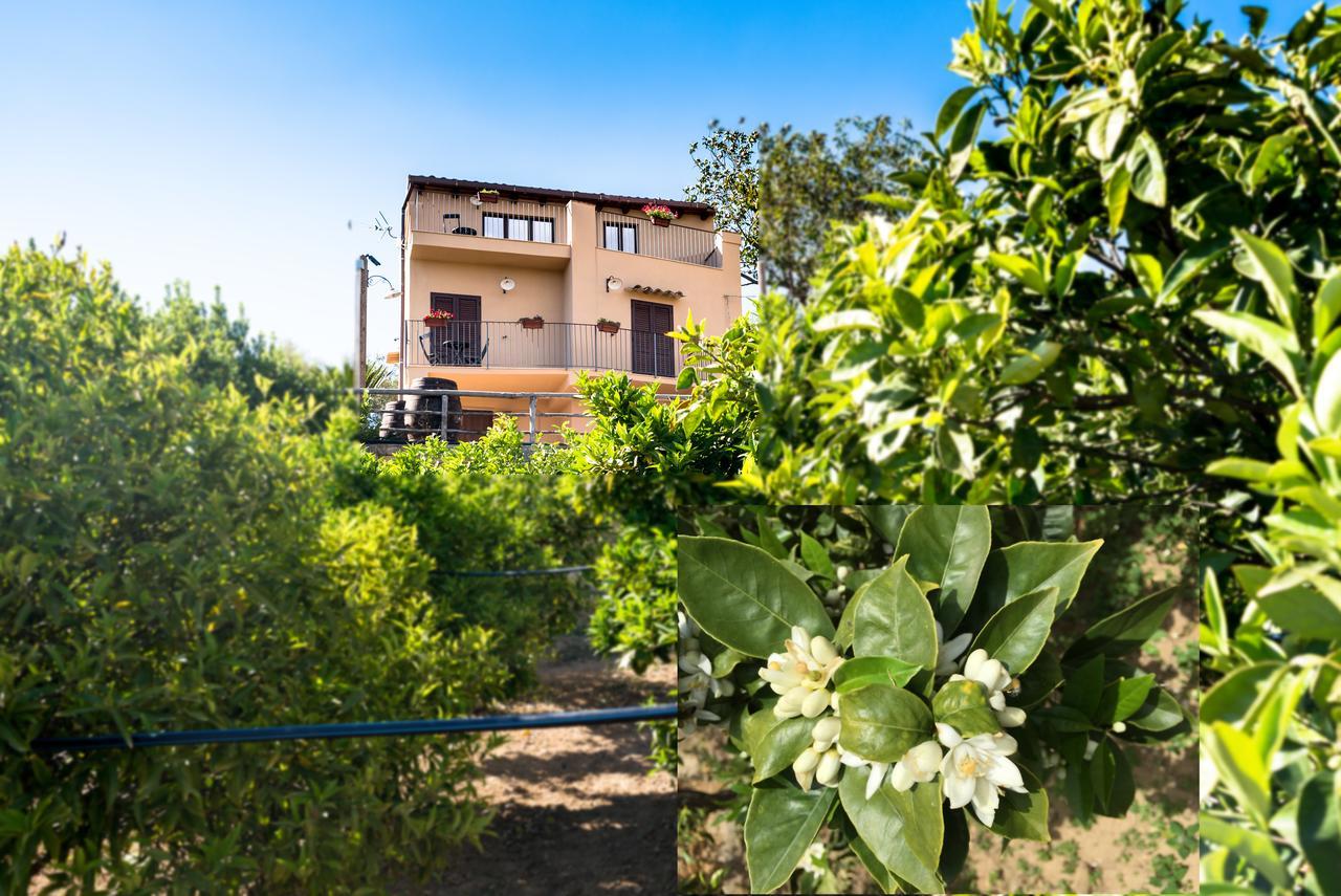 Bed and Breakfast Parco Dei Templi Agrigento Exterior foto